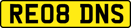 RE08DNS