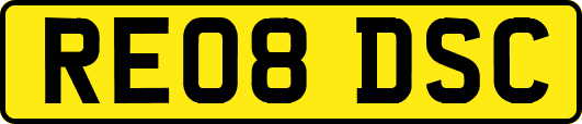 RE08DSC
