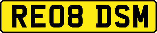 RE08DSM
