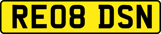 RE08DSN