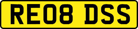 RE08DSS