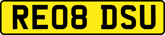 RE08DSU