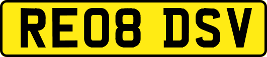 RE08DSV