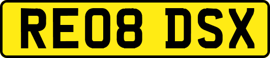 RE08DSX