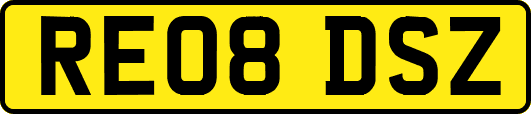 RE08DSZ