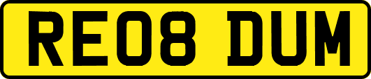 RE08DUM