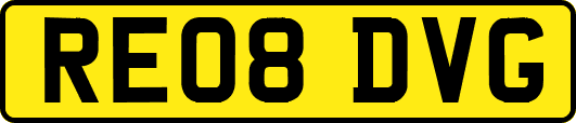 RE08DVG
