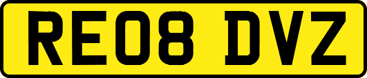 RE08DVZ