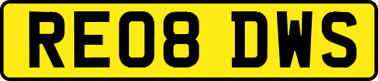 RE08DWS