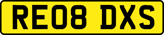 RE08DXS