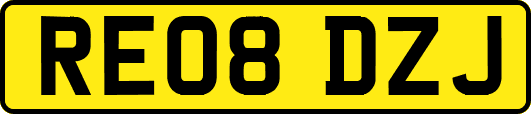 RE08DZJ