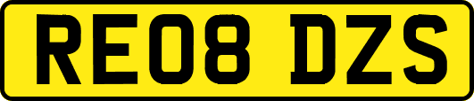 RE08DZS