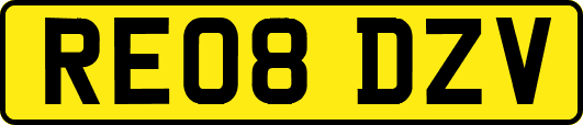 RE08DZV