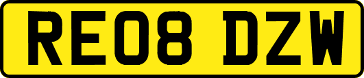 RE08DZW