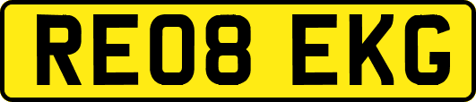 RE08EKG