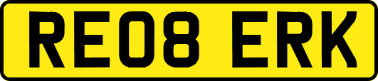 RE08ERK