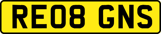 RE08GNS