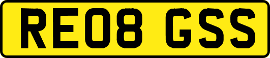RE08GSS