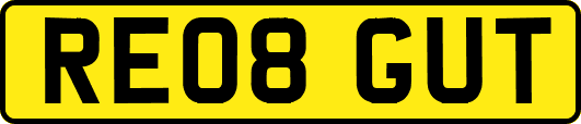 RE08GUT