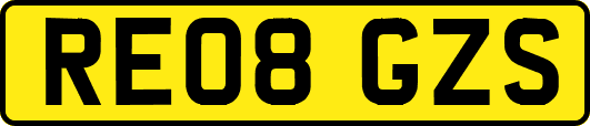 RE08GZS