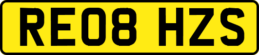 RE08HZS