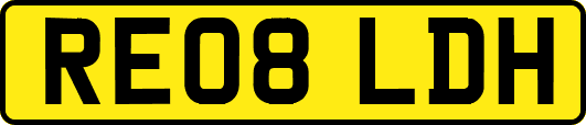 RE08LDH