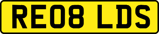 RE08LDS