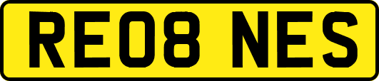 RE08NES