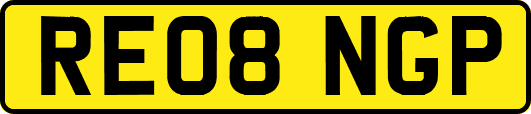 RE08NGP