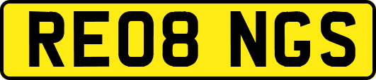 RE08NGS