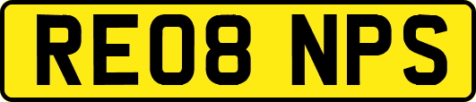 RE08NPS