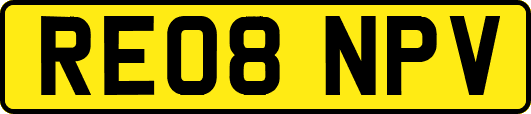 RE08NPV