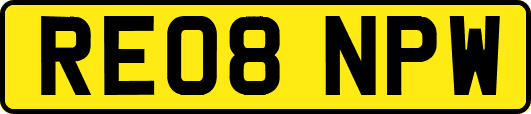 RE08NPW