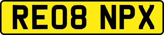 RE08NPX
