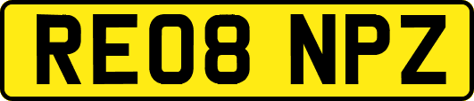 RE08NPZ