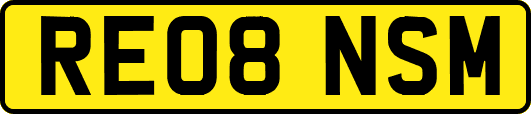RE08NSM
