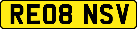 RE08NSV