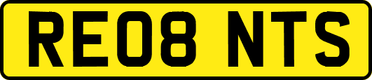 RE08NTS