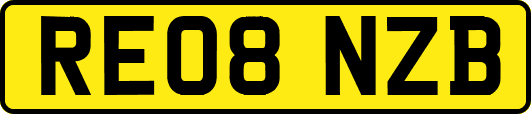 RE08NZB