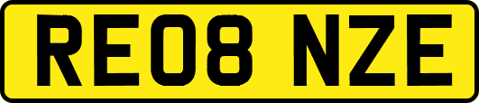 RE08NZE