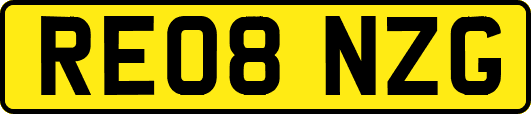 RE08NZG