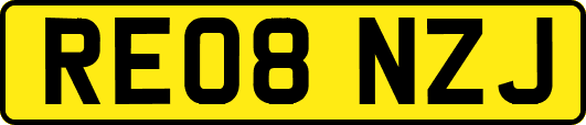 RE08NZJ