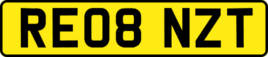 RE08NZT