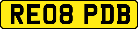 RE08PDB