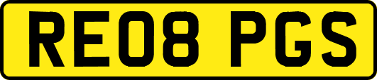 RE08PGS