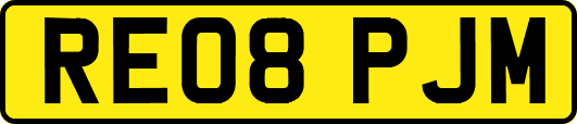 RE08PJM