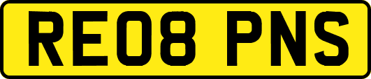 RE08PNS