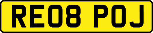 RE08POJ