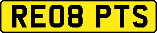 RE08PTS