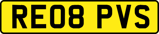 RE08PVS